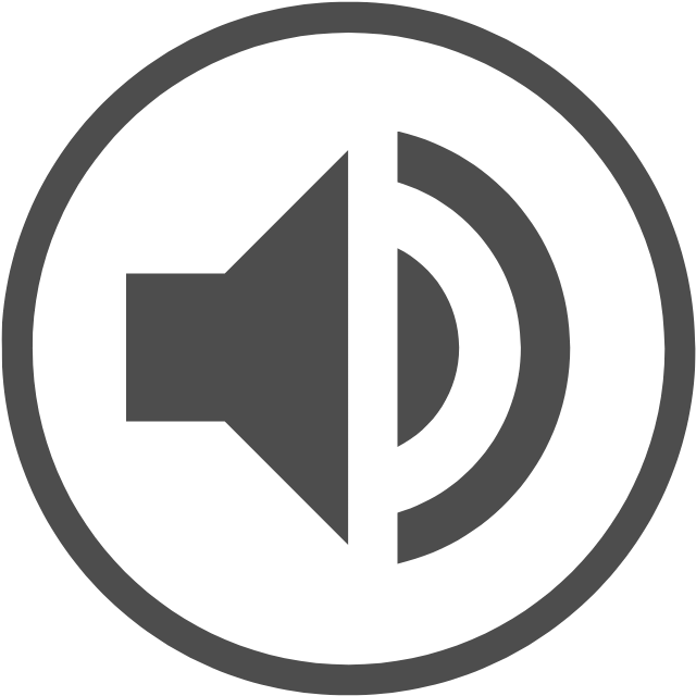 Speaker Icon